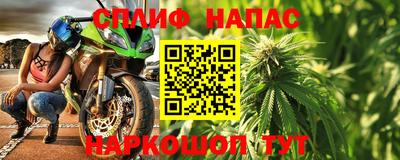 PSILOCYBIN Можга